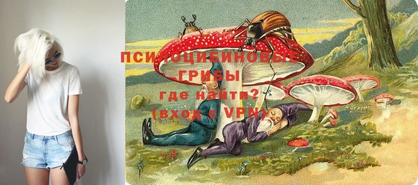 PSILOCYBIN Балабаново