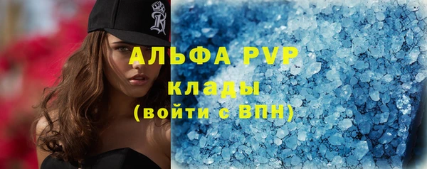 PSILOCYBIN Балабаново