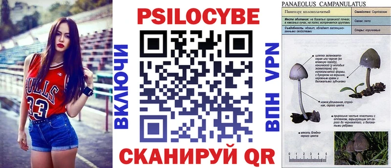 хочу наркоту Духовщина Галлюциногенные грибы Psilocybe